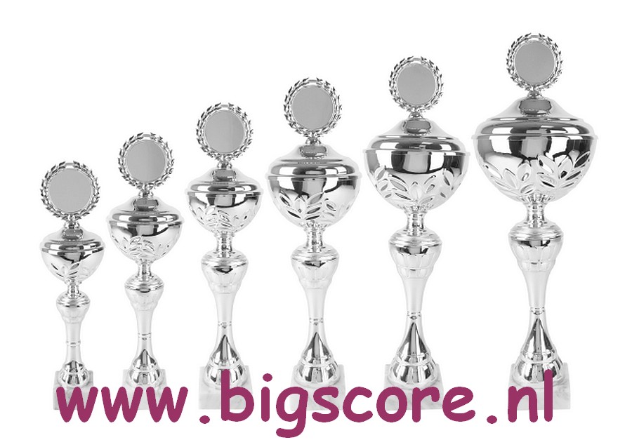 AK5850 Beker Zilver